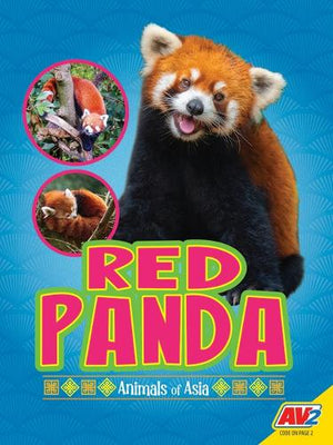 Red Panda