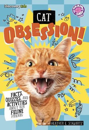 Cat Obsession!