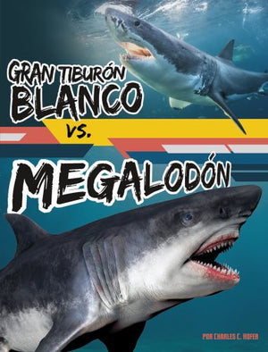 Gran Tiburón Blanco vs. Megalodón (Great White Shark vs. Megalodon)