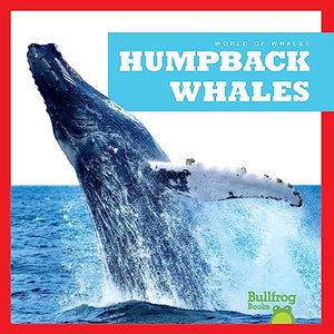 Humpback Whales