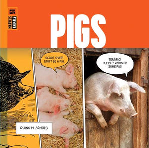 Pigs