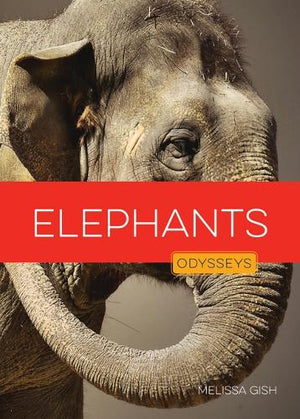 Elephants