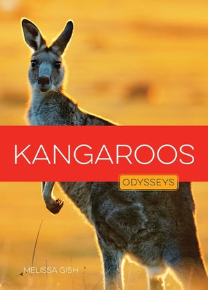 Kangaroos