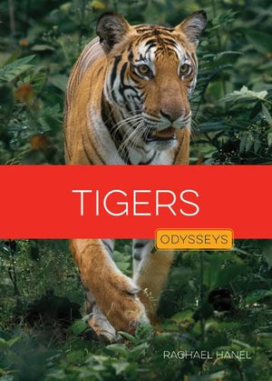 Tigers