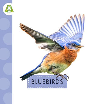 Bluebirds