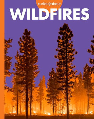 Curious about Wildfires