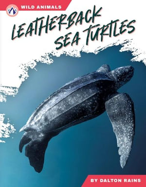 Leatherback Sea Turtles