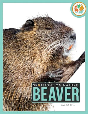 Beaver