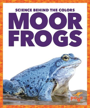 Moor Frogs