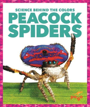 Peacock Spiders