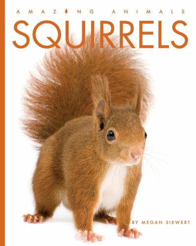 Squirrels