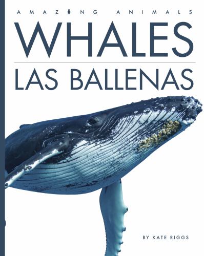 Whales  Las Ballenas