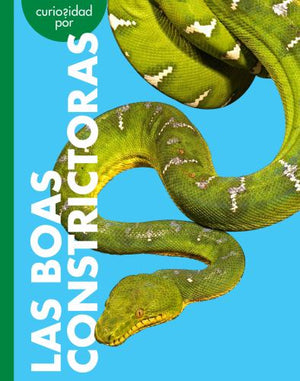 Curiosidad Por Las Boas Constrictoras