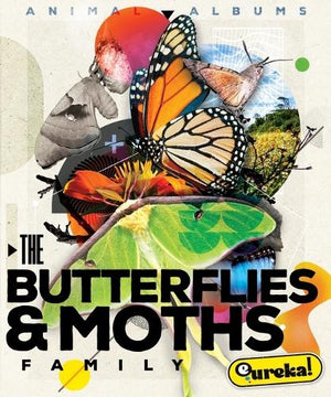 The Butterfly and Moth Family