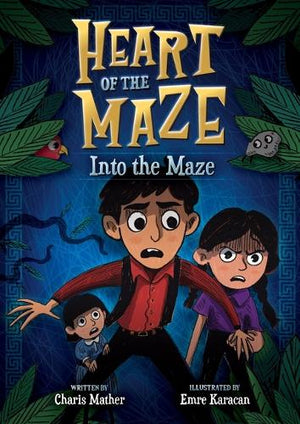 Into the Maze