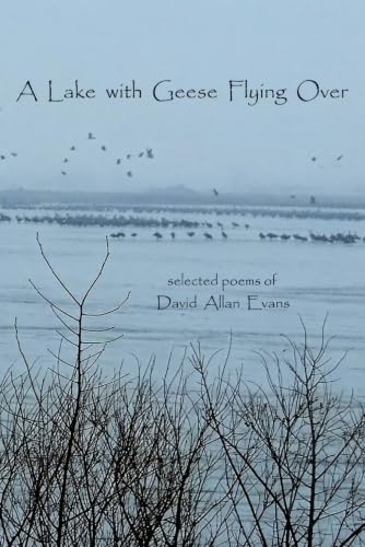 A Lake with Geese Flying Over