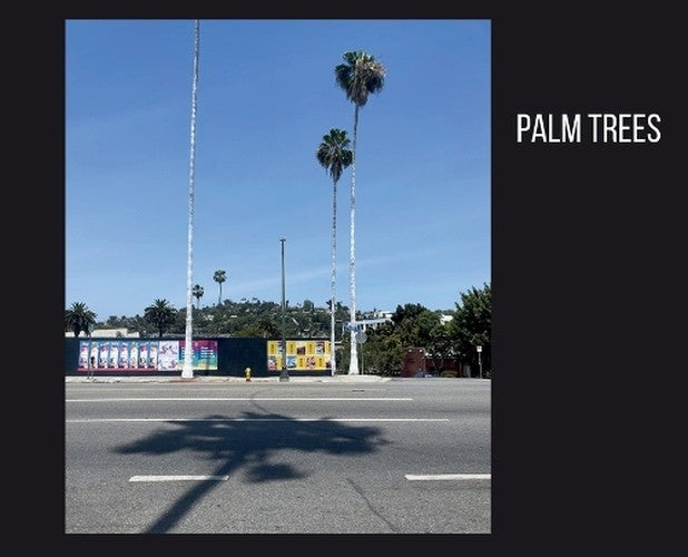 Palm Trees