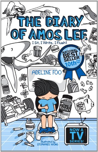 Diary of Amos Lee