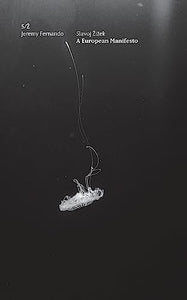 S/Z A European Manifesto 