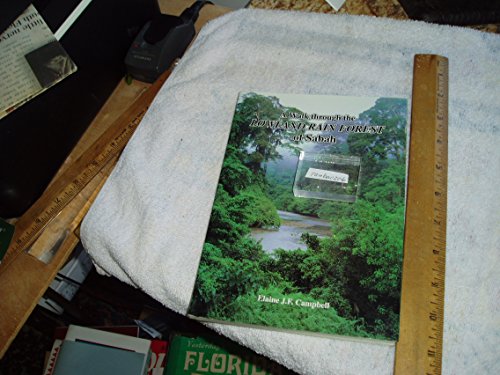 A Walk Through the Lowland Rainforest of Sabah