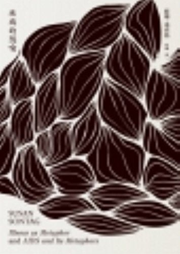 Illness as Metaphor (Traditional Chinese Edition)
