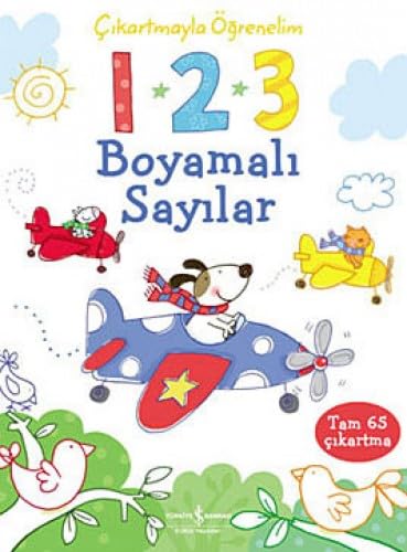1 2 3 BOYAMALI SAYILAR