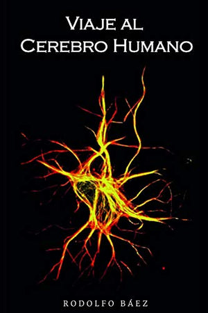 Viaje Al Cerebro Humano