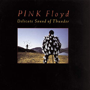 Delicate Sound Of Thunder 