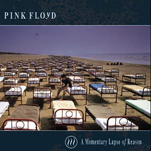 A Momentary Lapse of Reason 