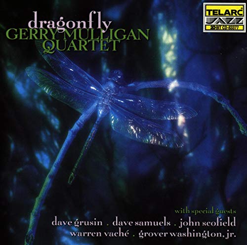 Dragon Fly