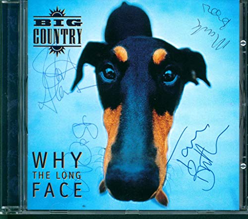 Why the Long Face