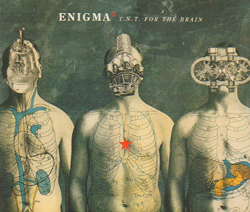 T.N.T. for the Brain