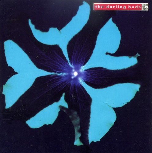 Darling Buds - Crawdaddy
