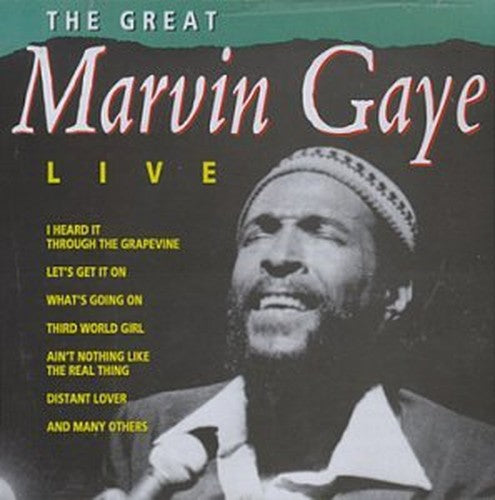Great Marvin Gaye Concert