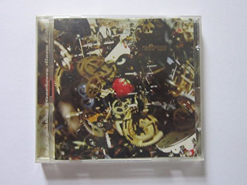 Mr Brubakers Strawberry Alarm Clock