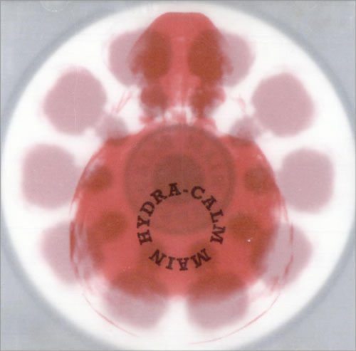 Main - Hydra-Calm