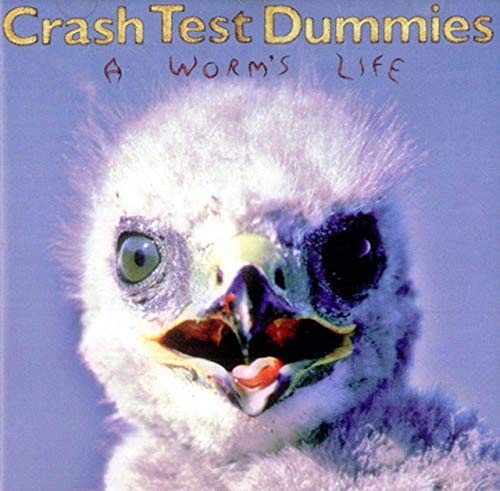 A Worm's Life