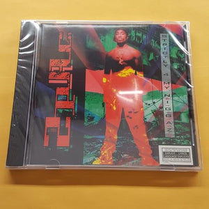 Strictly 4 My Niggaz 