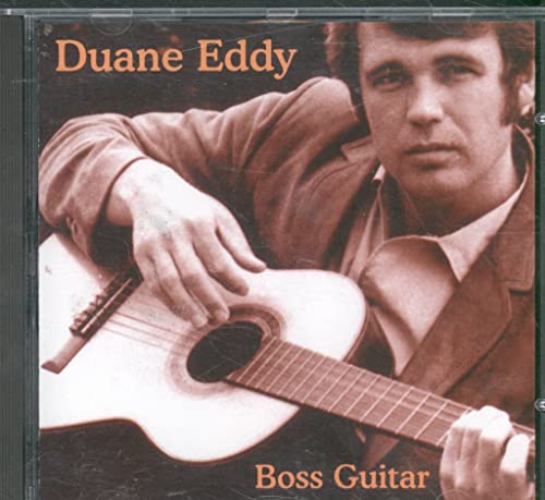 Boss Guitar