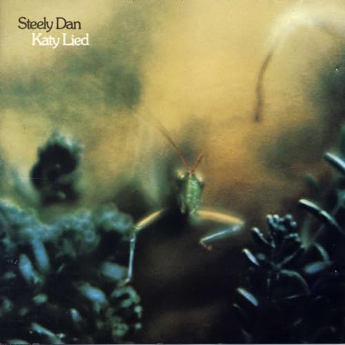 Katy Lied