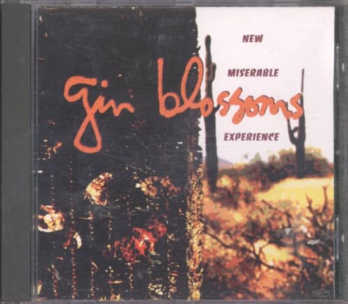 New Miserable Experience