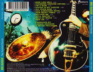 Big Sugar - Five Hundred Pounds