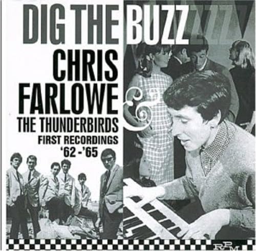 Dig The Buzz