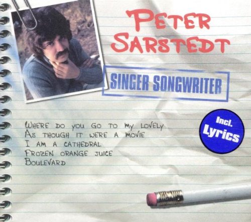 Singer Songwriter