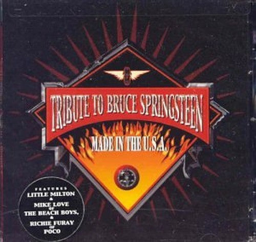 Made in the Us: a Tribute to Bruce Springsteen
