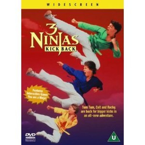 3 Ninjas: Kick Back [DVD] [2009]