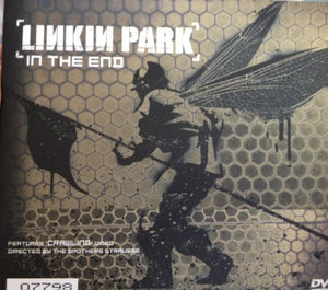 In the End [DVD AUDIO] 