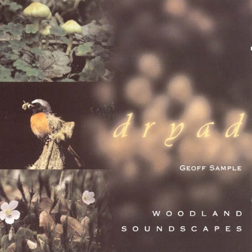 Dryad: Woodland Soundscapes