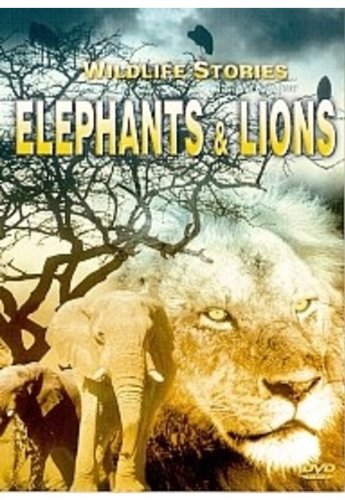 Whole Story, The: Elephants And Lions [2001] [DVD]