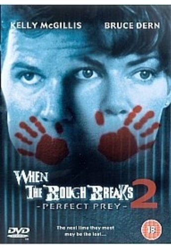 When The Bough Breaks 2 - Perfect Prey [DVD]